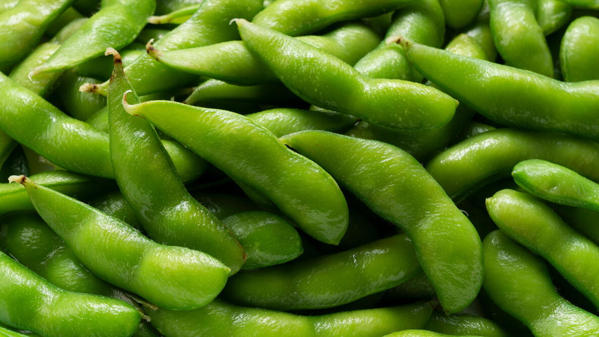 harvested edamame
