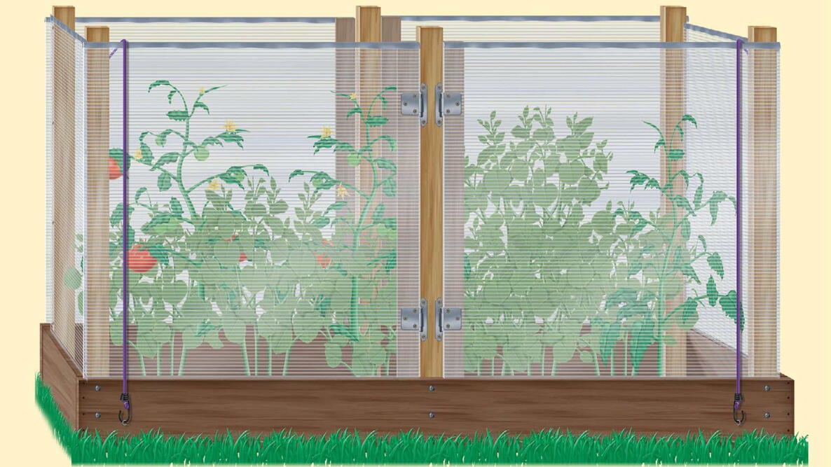a raised bed with a heat sink installed with tomatoes growing inside