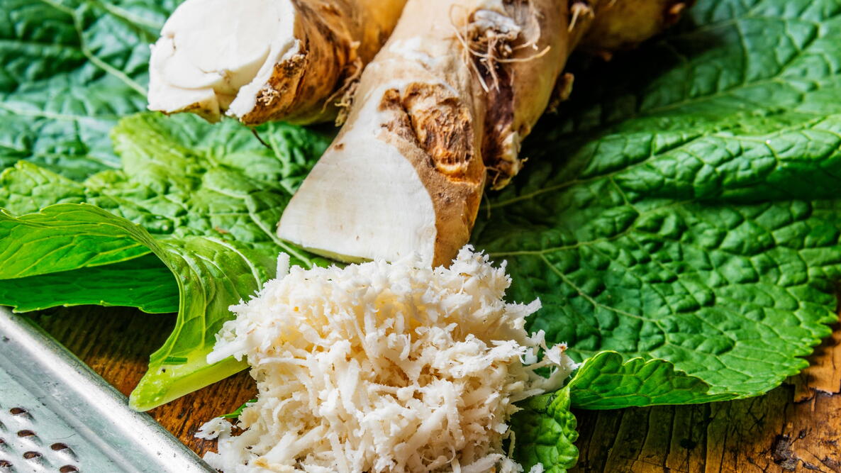 horseradish root after it was harvested in the garden