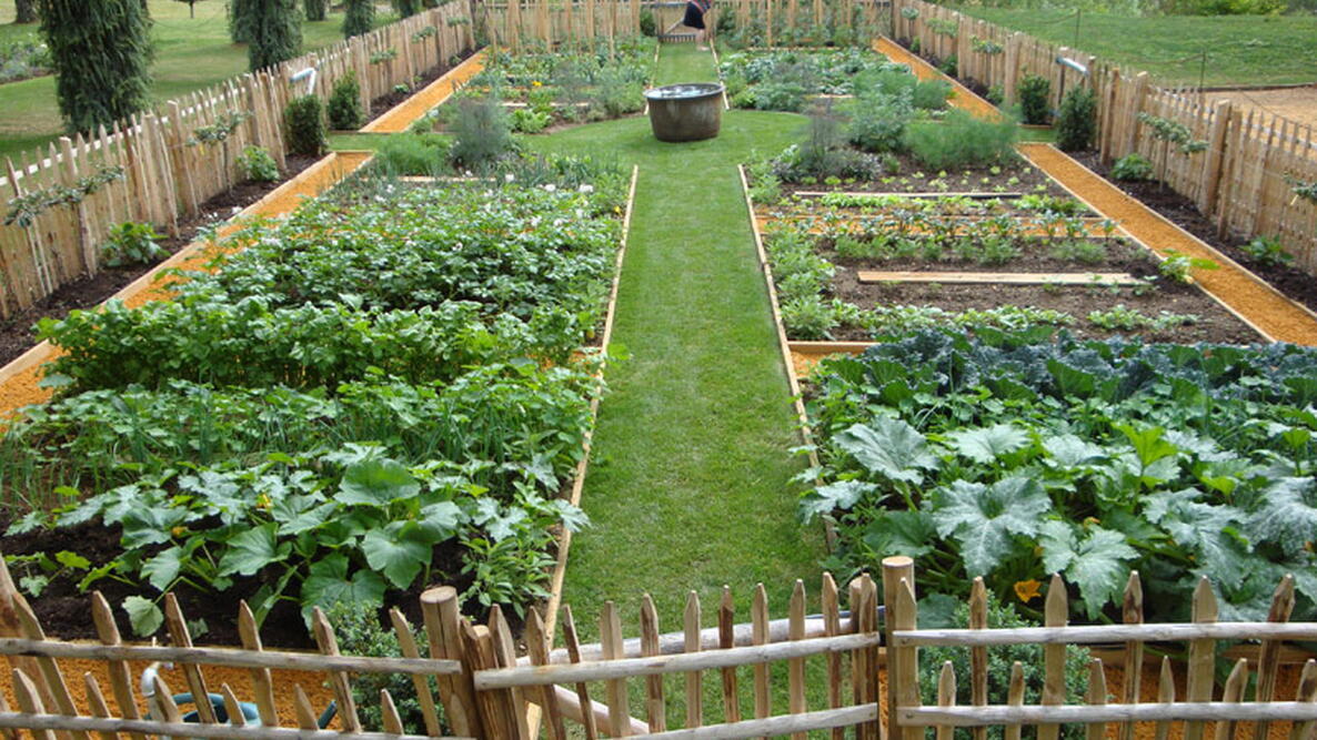 formal kitchen garden with rectangular vegetable beds and central grass path