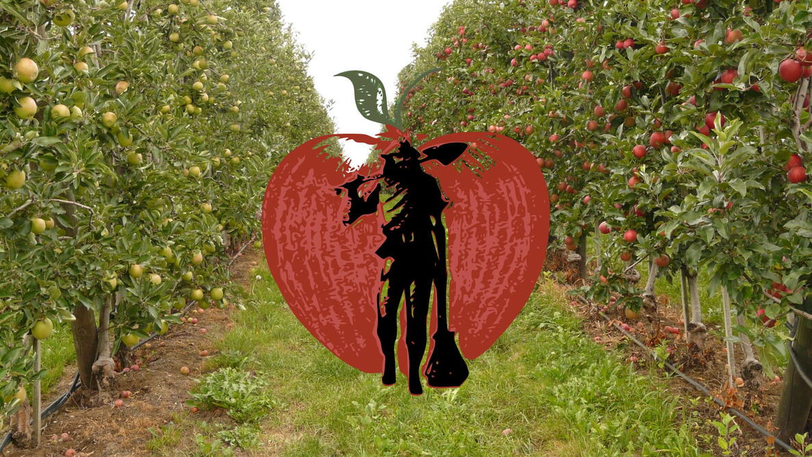 johnny appleseed image on an apple orchard with apples