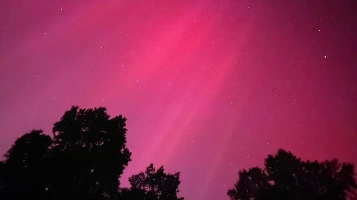 pink auroras