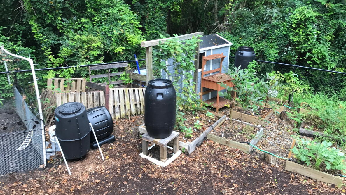 A raised garden next to a tiny blue shed and black barrels