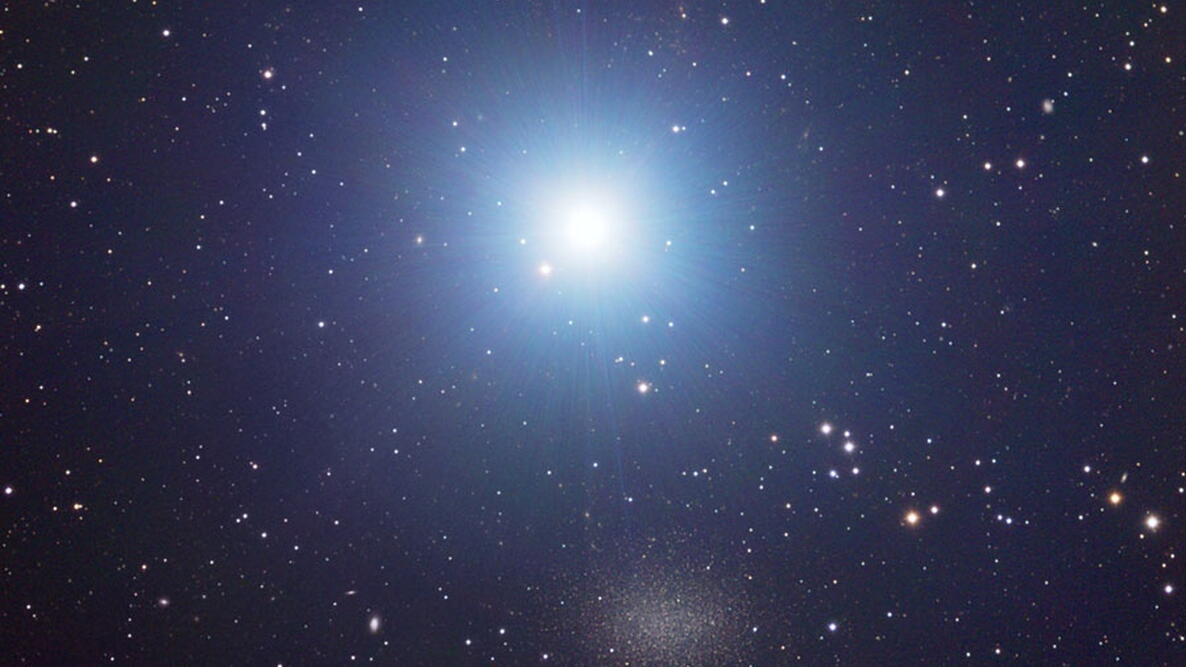 regulus