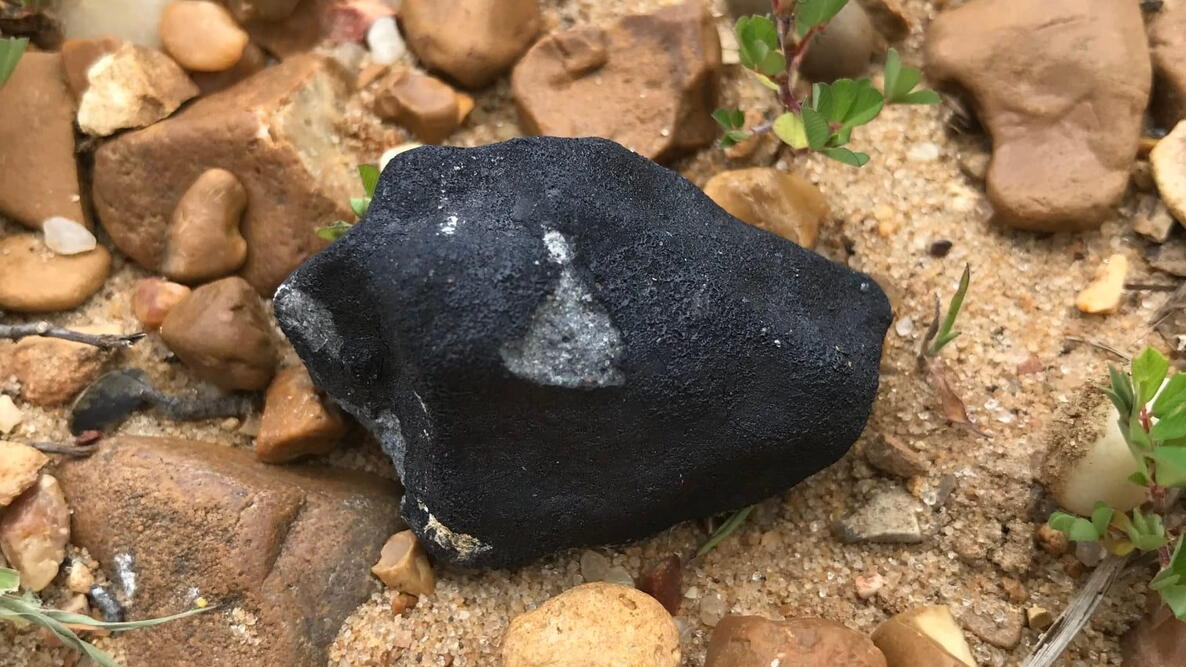 Meteorite Find