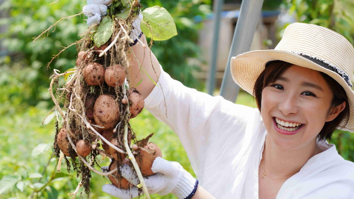 Smiling woman holding freshly dug potatoes still attached to the plant.