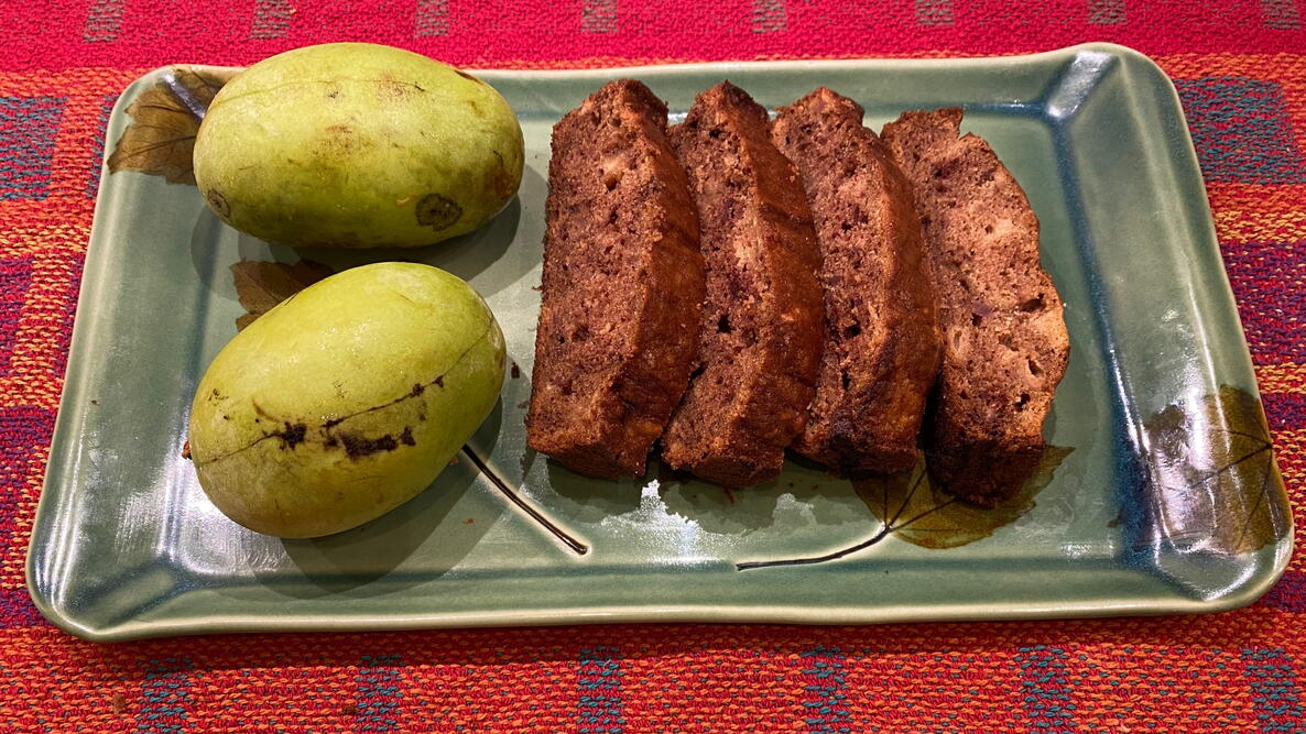 Pawpaw fruit and pawpaw bread on plate
