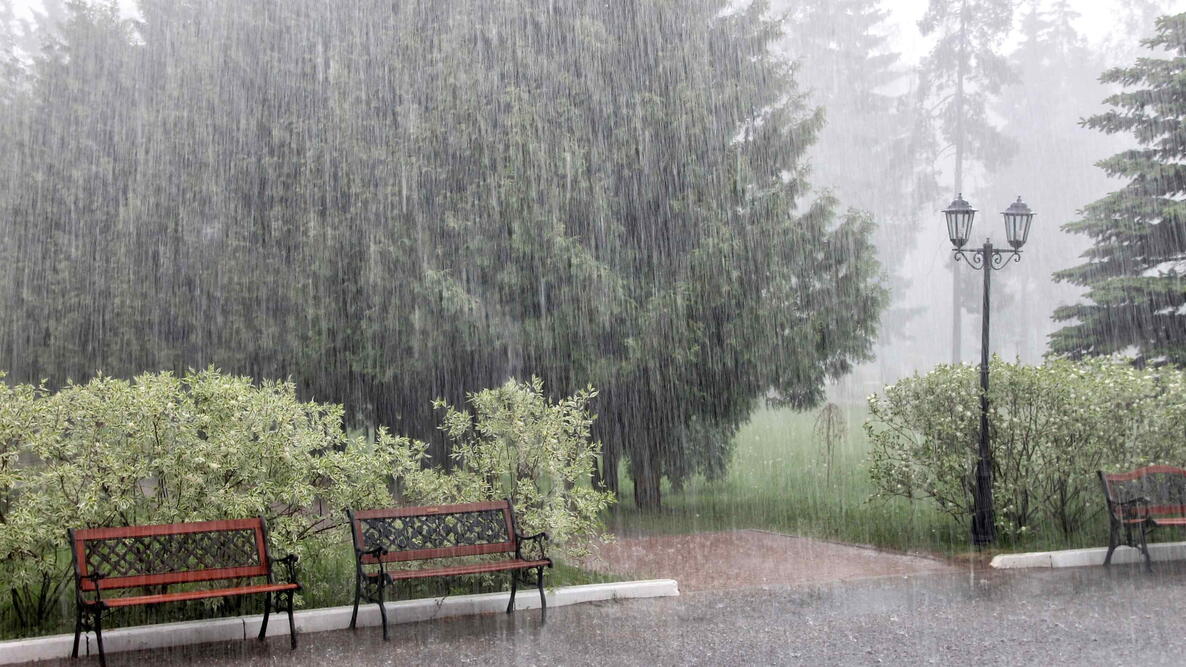 rainstorm on a summer day