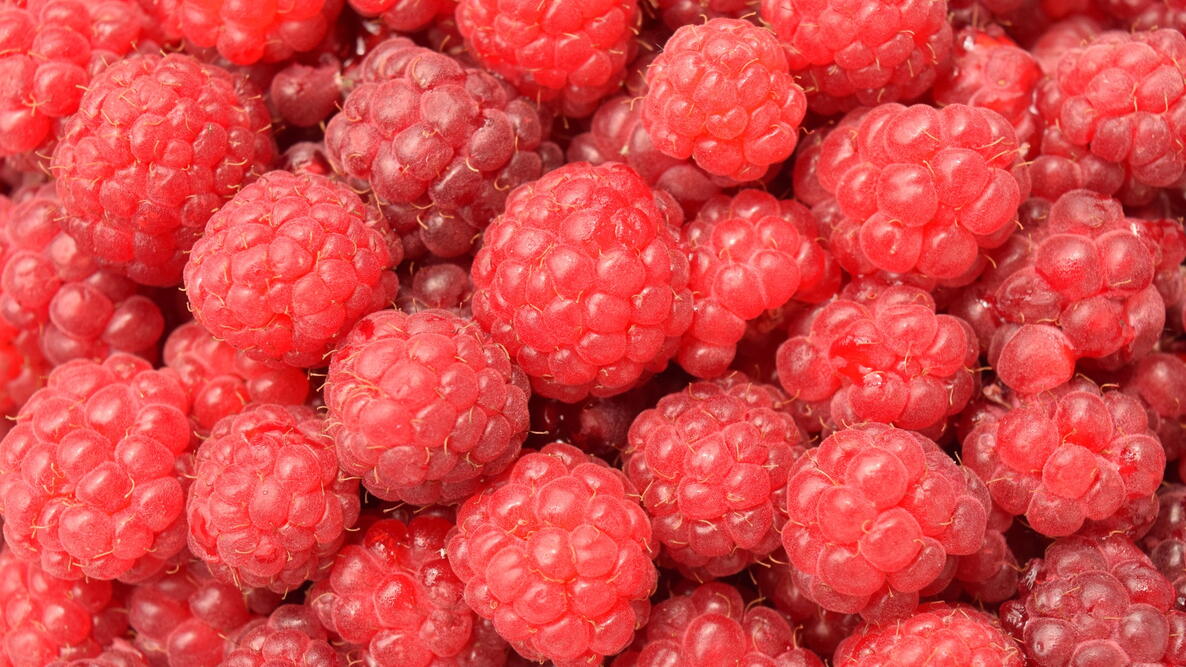 red raspberries