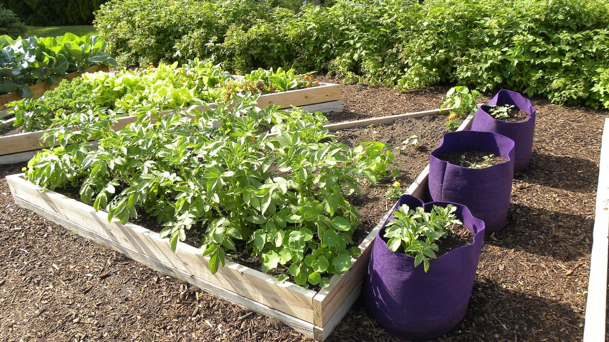 River Road Garden Bed