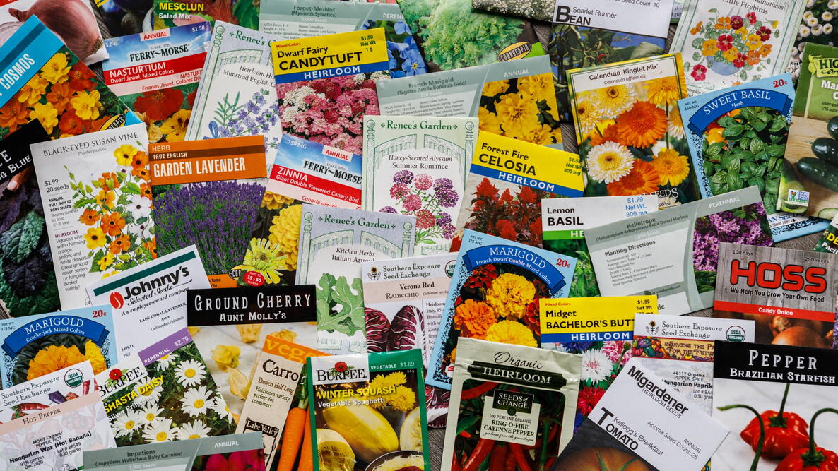 A variety of seed packets 