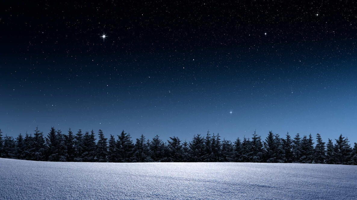 Winter landscape with fir forest and starry sky