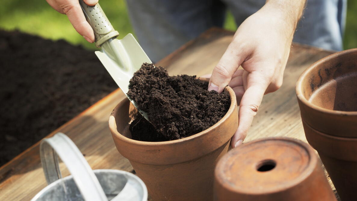 A person scoops fertilizer into a clay pot 