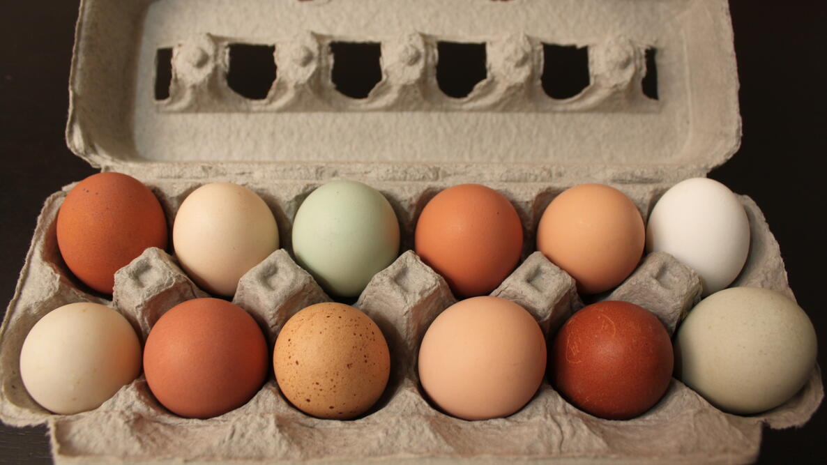 An open carton of a dozen multi-colored eggs
