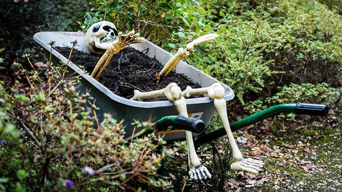 Spooky Skeleton