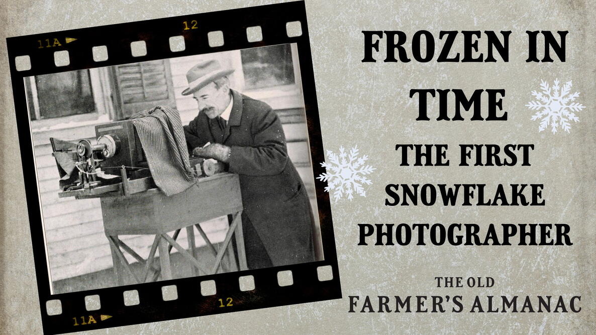 Wilson Bentley, the first snowflake photographer