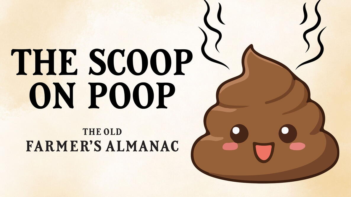 manure header image, the scoop on poop with poop emoji