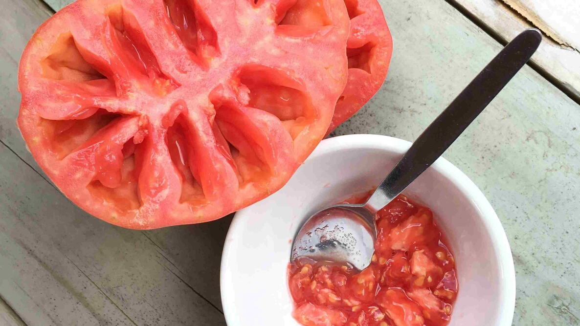 Seed saving heirloom open pollinated tomato
