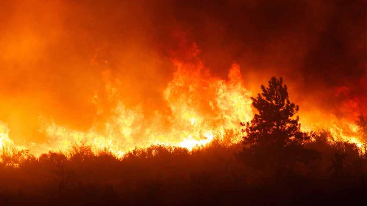 Intense flames from a massive forest fire. Flames light up the night as they rage thru pine forests and sage brush. The Carlton Complex wild fire was Washington state's largest fire in history.