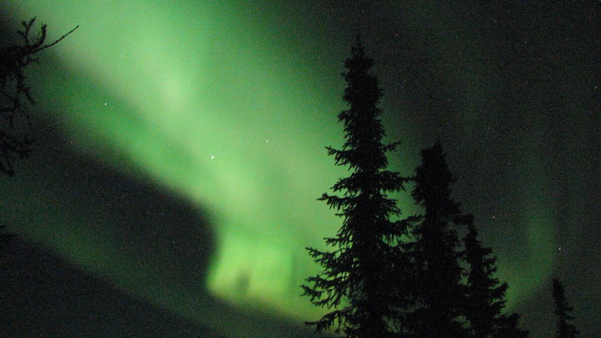 Northern Lights Tour to Alaska With The Old Farmer's Almanac The Old Farmer's Almanac