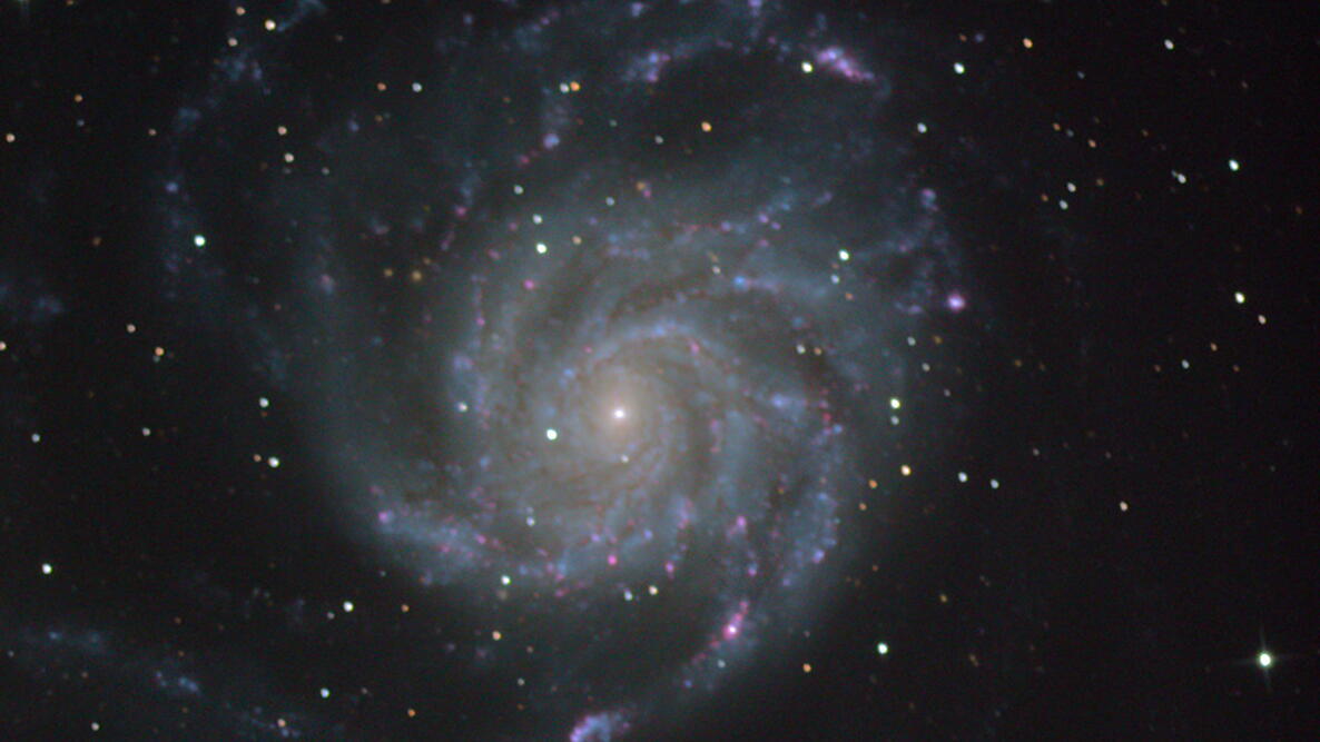 The Pinwheel Galaxy by David Rankin