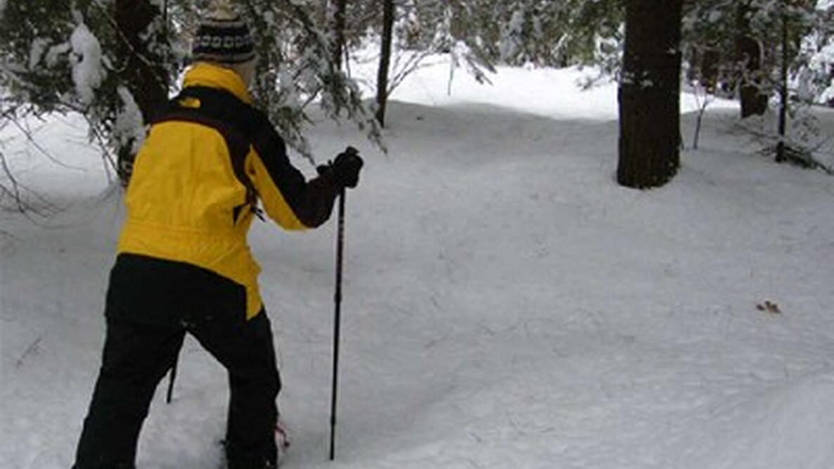 snowshoeing in the woods