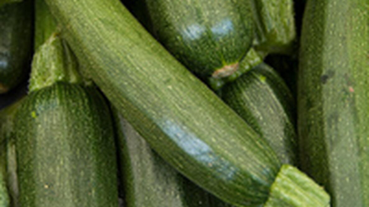 zucchini