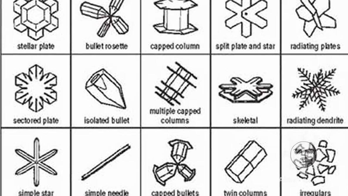 Embedded thumbnail for No Two Snowflakes Are Alike