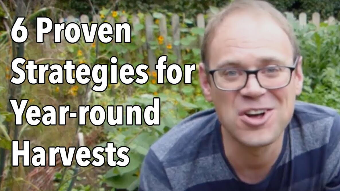 Embedded thumbnail for How to Create a Year-Round Vegetable Garden