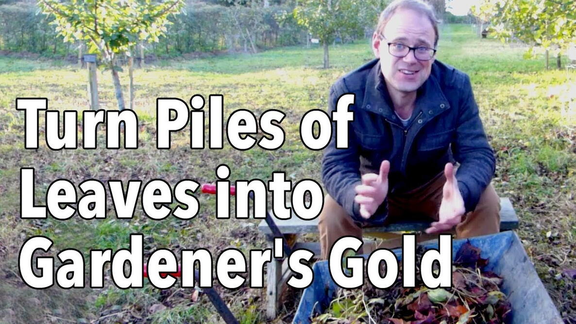 Embedded thumbnail for How to Make Leaf Mold