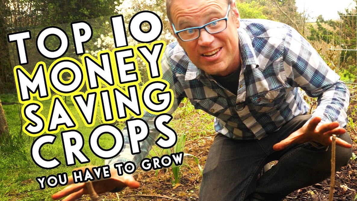 Embedded thumbnail for 10 Money-Saving Crops That Will Cut Your Grocery Bill