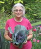 Profile picture for user Robin Sweetser
