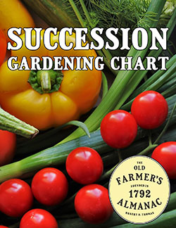 Succession Gardening Chart