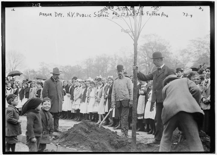Arbor Day tree planting in NYC, 1908. Photo from Library of Congress.