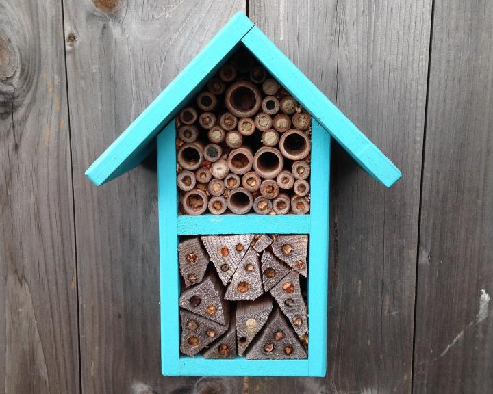 Bee houses can be an eye-catching addition to your garden.