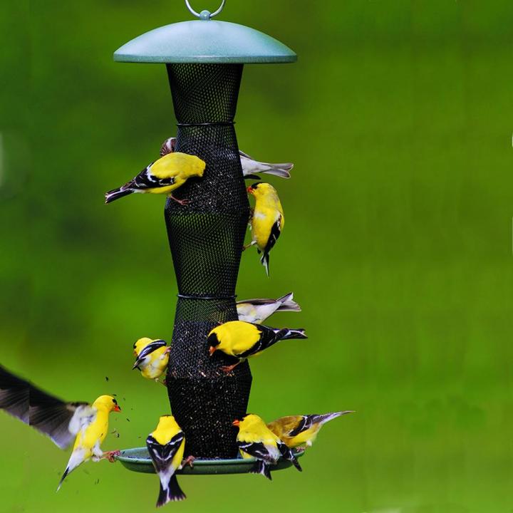 a tube bird feeder with yellow finches