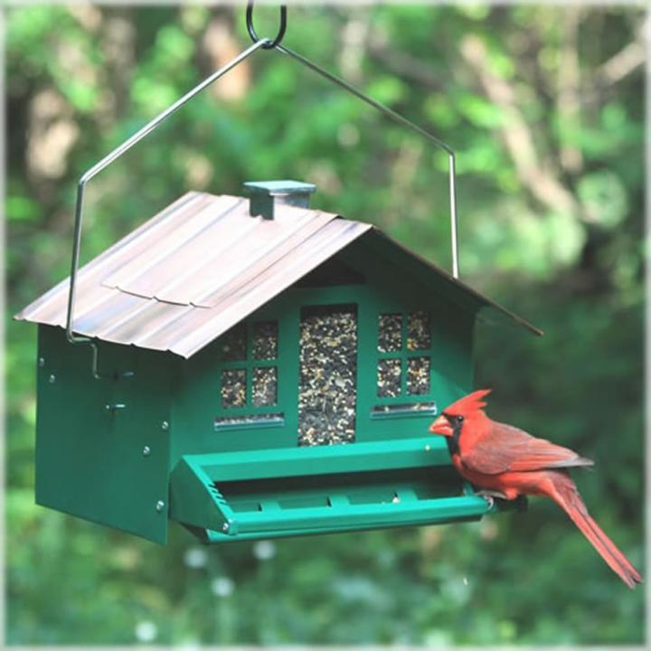 a house bird feeder with a cardinal