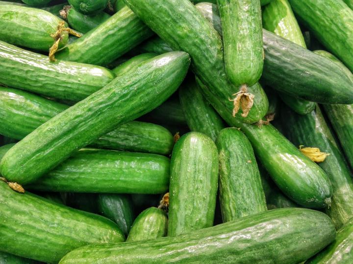 Cucumbers in a pile after harvest
