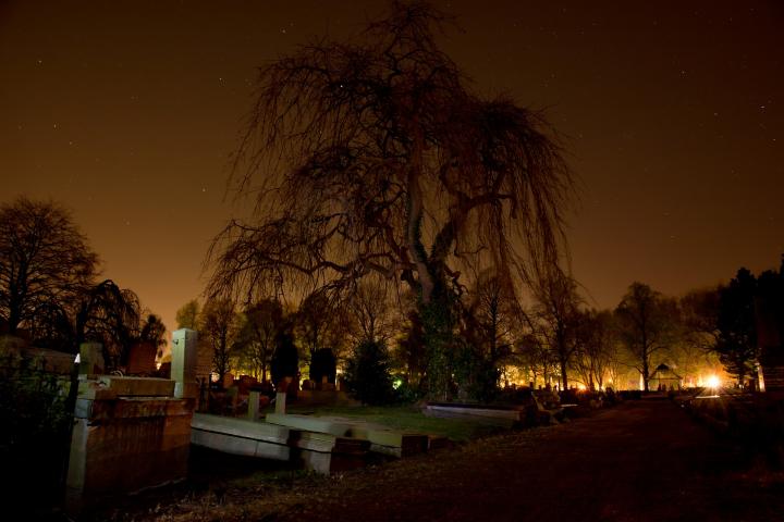 graveyard-384603_1920_full_width.jpg