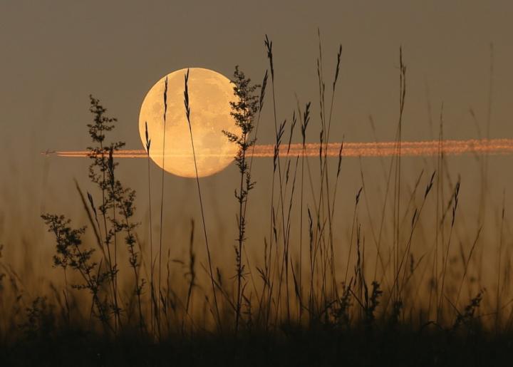 Harvest full moon