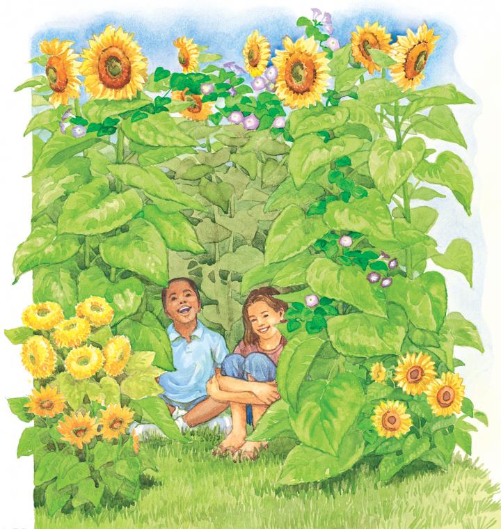 illustration_sunflower_tower_full_width.jpg