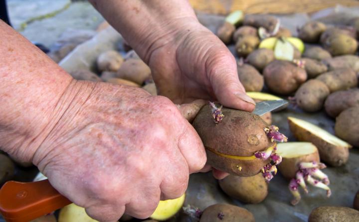 Man planting potatoes. Photo by tanyss/Getty Images.