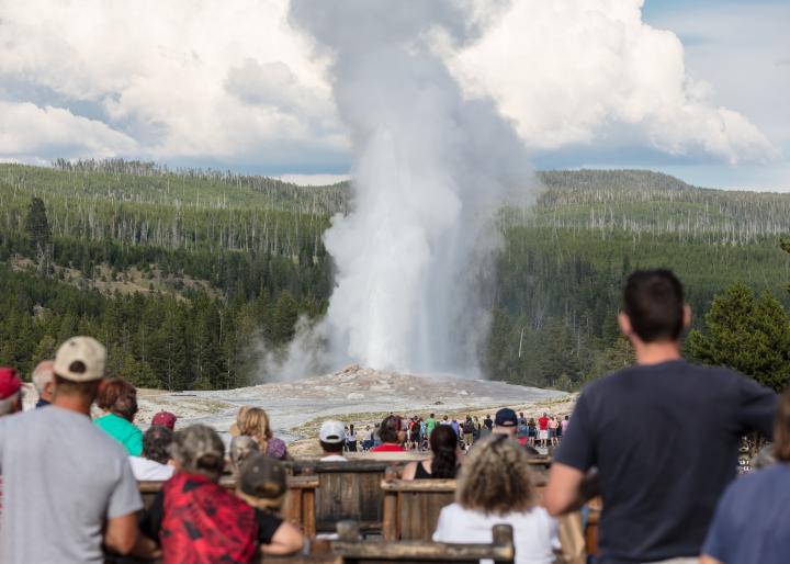 Old Faithful Geyser in Yellowstone National Park. Photo by National Park Service/Jacob W. Frank.