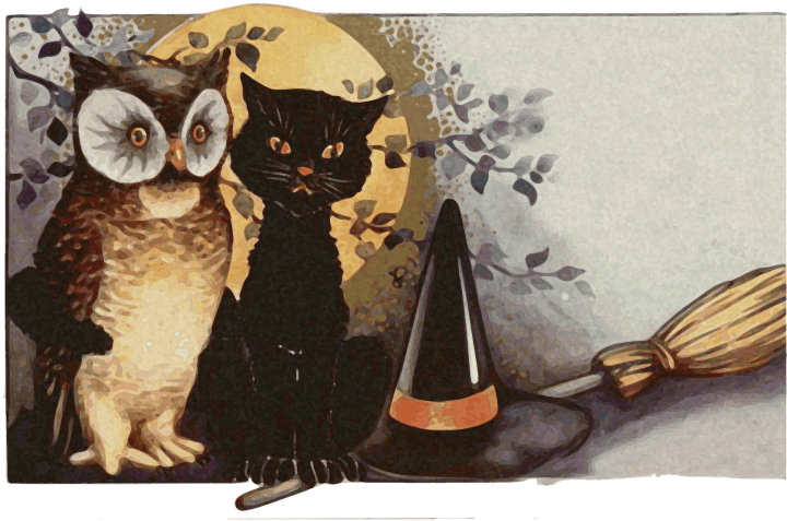 vintage Halloween cat and owl with a witch hat and broom