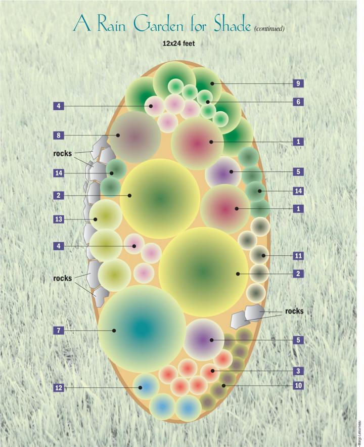 rain-garden-plans-shade_full_width.jpg