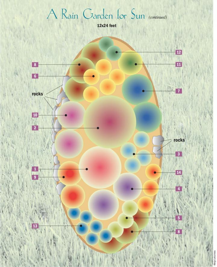 rain-garden-plans-sun_full_width.jpg