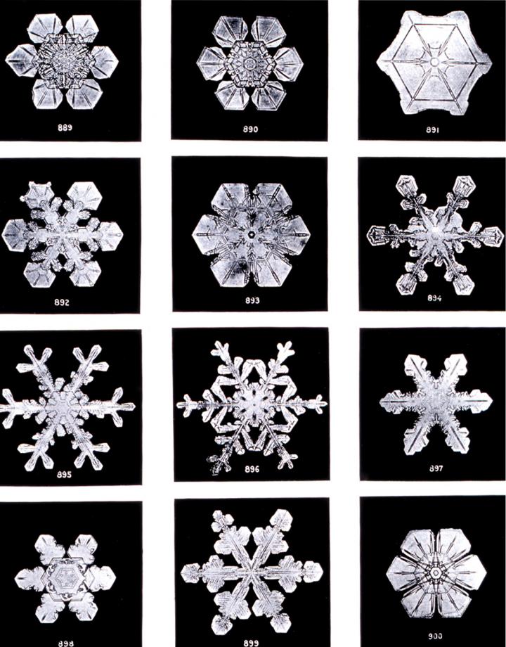 snowflakeswilsonbentley_full_width.jpg