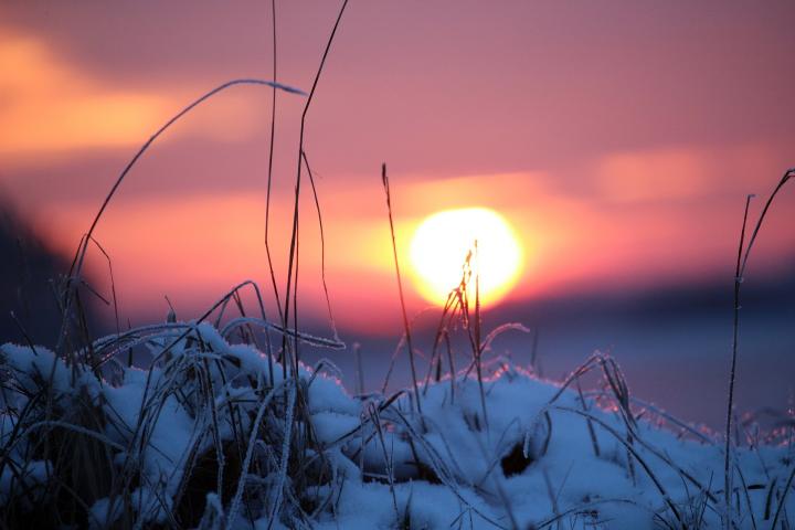 Winter sunset with snow