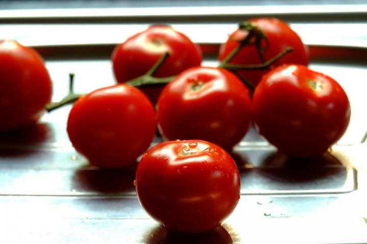 tomato-tips-how-to-grow-tomatoes.jpg
