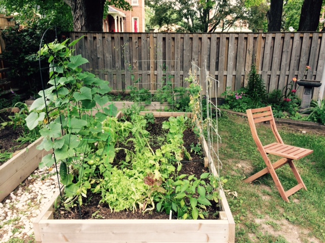 veg_garden_2015.jpg